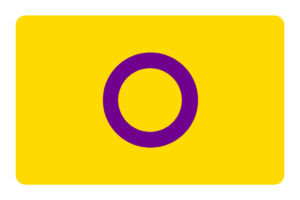 Bandera Intersexual