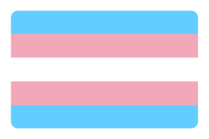 Bandera Trans